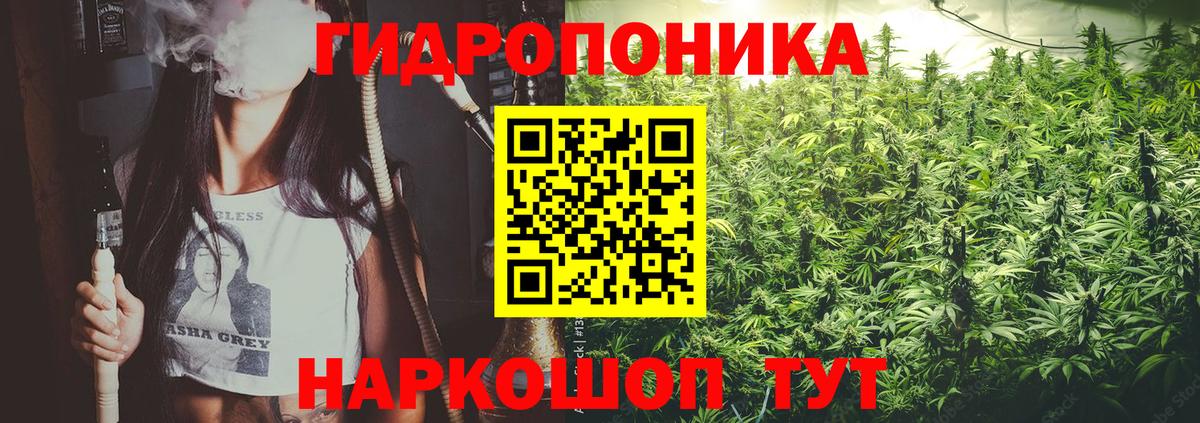 Конопля план  Вход с VPN  Новый Уренгой  Бошки Шишки план  Шишки марихуана ГИДРОПОН  Шишки марихуана White Widow 